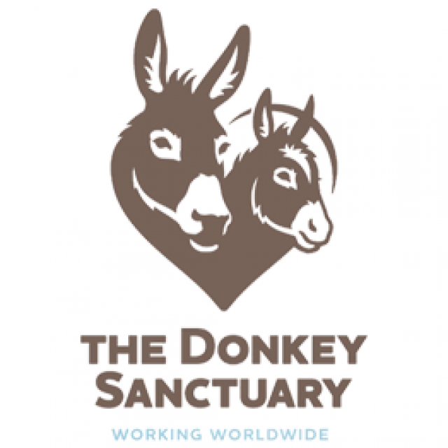 Donkey Assisted Interaction Sessions